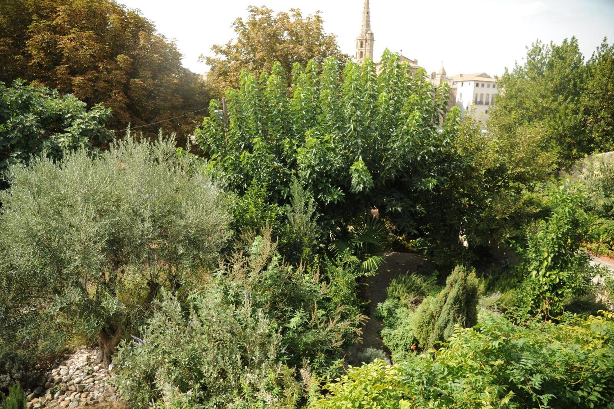 Limoux Riverside Gardens Villa Exterior foto