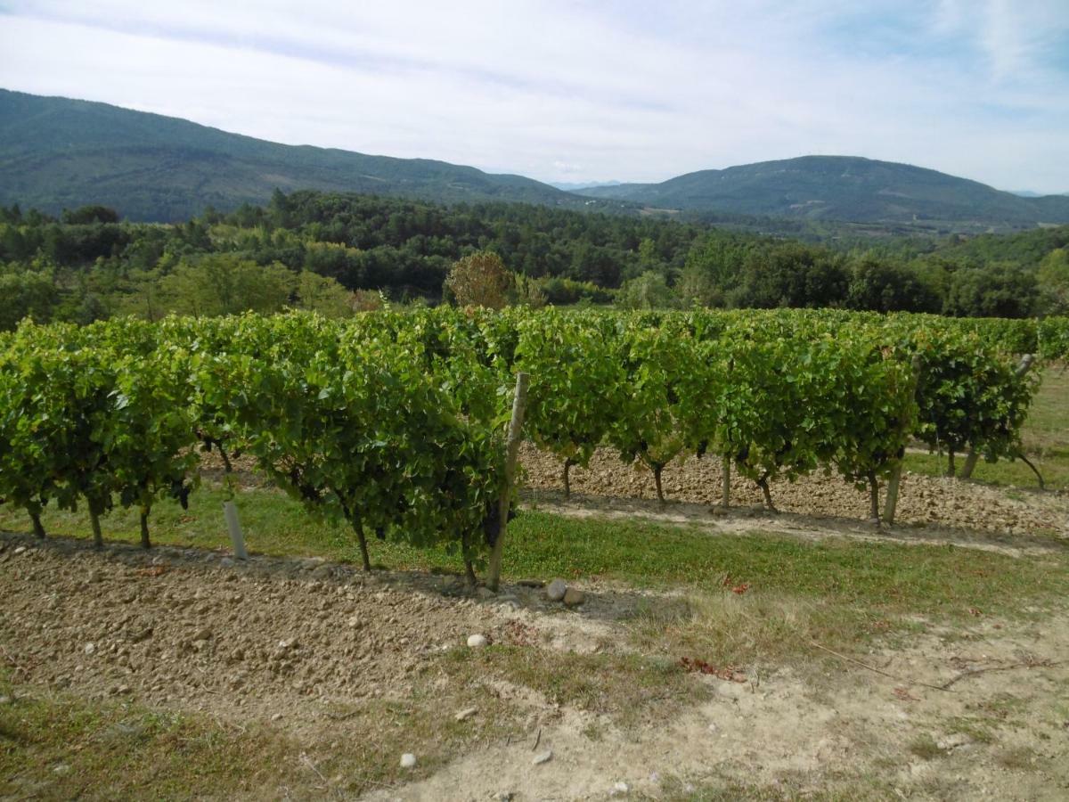 Limoux Riverside Gardens Villa Exterior foto